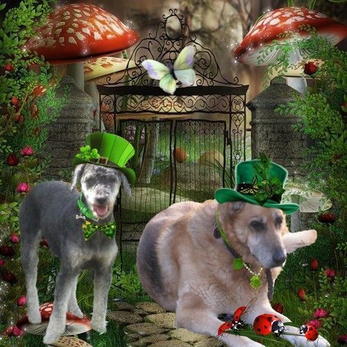 4719382bpona_et_orry1903