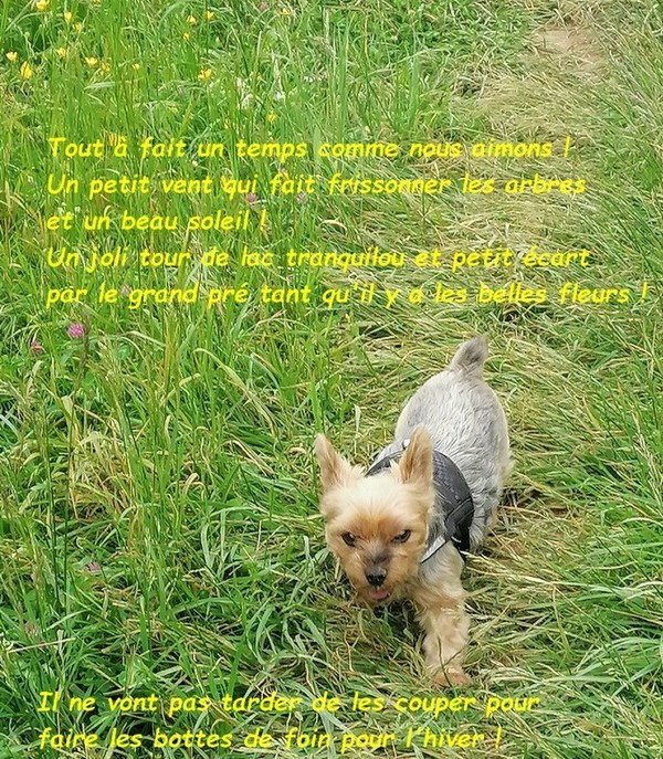 AVEC HENYA : NOTRE SORTIE DU JEUDI 30 MAI 2024  01