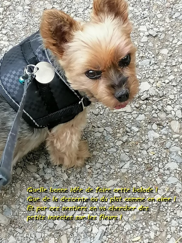 ENCORE AVEC PETITE HENYA LE 29 MAI 2024  01