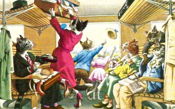 53f67fe58ec8d21857b27589354532f7--animal-pics-funny-animal