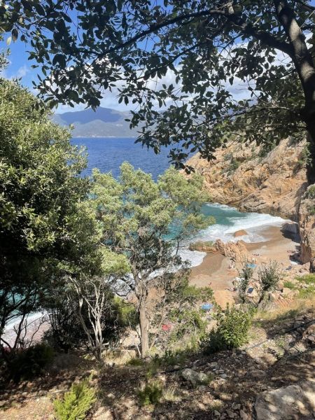 541434562_3012667178906304_358044889982130799_n_1