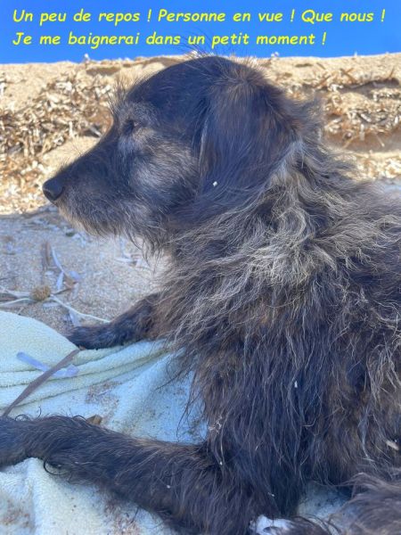 541761286_3014604708712551_7566956755732954597_nbb