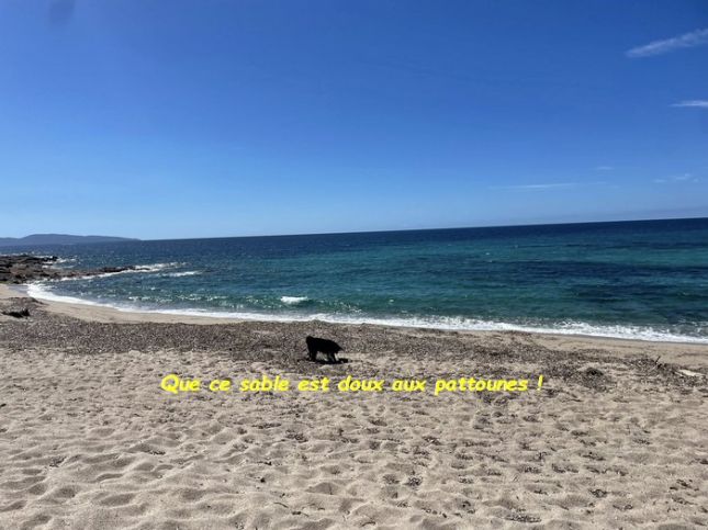 541984255_3014604848712537_4996824503244768166_nbb