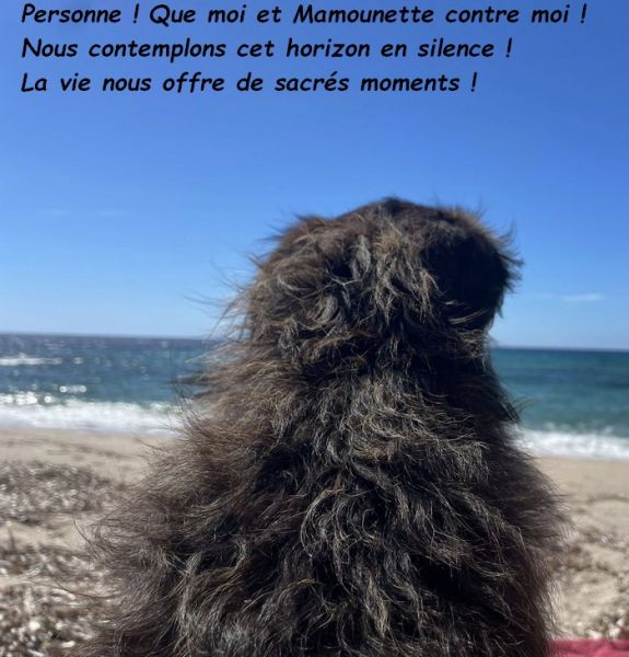 543056214_3014604798712542_1621279194824831895_nbb