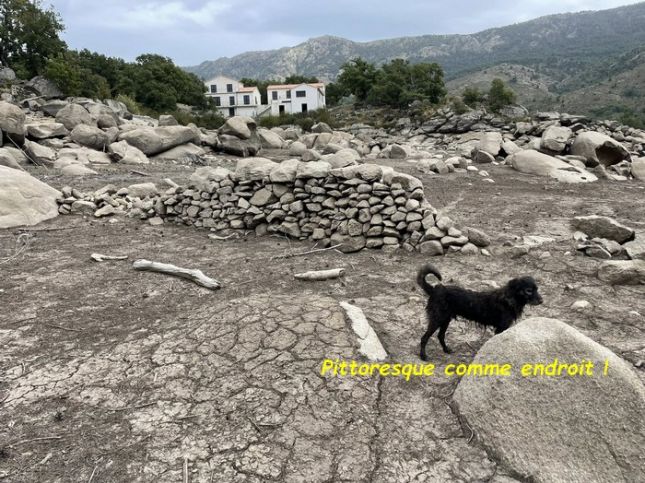 544898435_3018410998331922_4553265939801204781_nbb