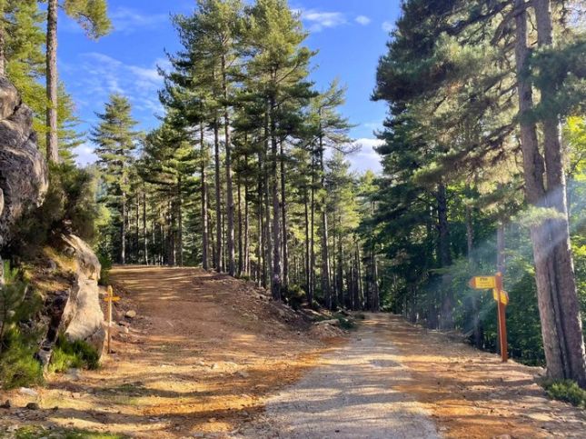 544913242_3018410564998632_8321948676338942525_n