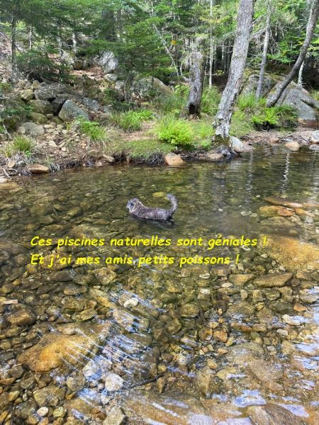 545424816_3018410948331927_613271792613965990_nbb