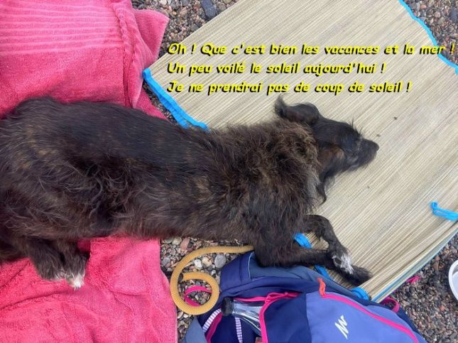 545452804_3019388764900812_3782796343260007366_nbb