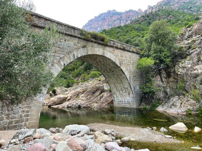 545559061_3019389291567426_8064197724948980755_n