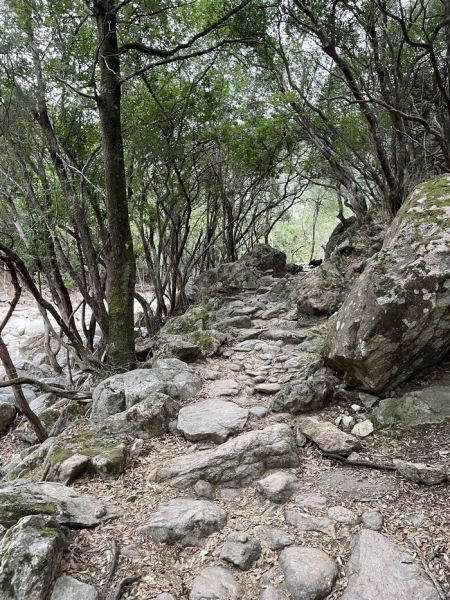 545616619_3019389188234103_734592769364722572_n