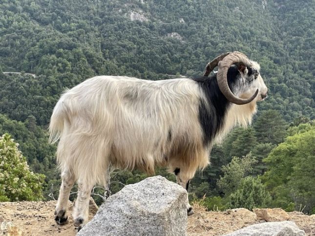 545925163_3019388804900808_1689529797048314373_n