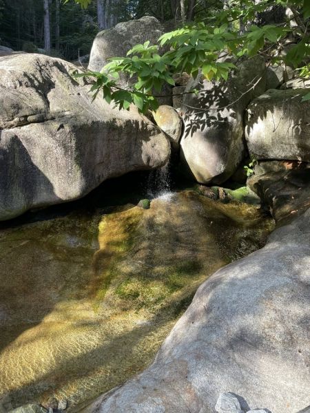 546114530_3018410284998660_2442254487995637046_n