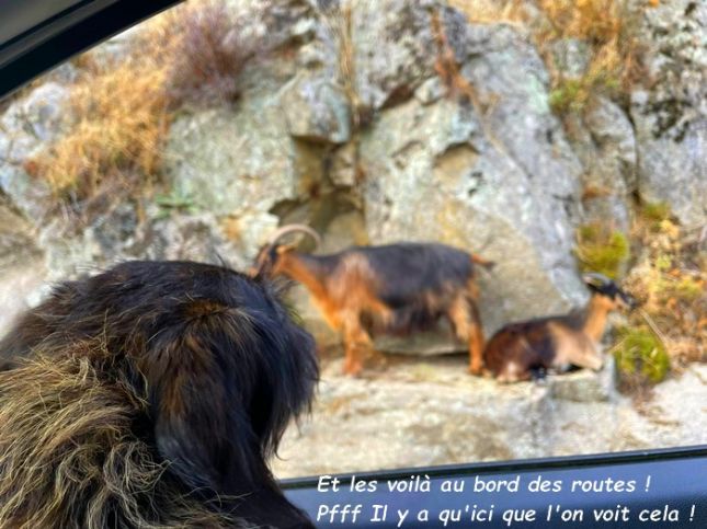 546512803_3019389168234105_4514267935526628692_nb