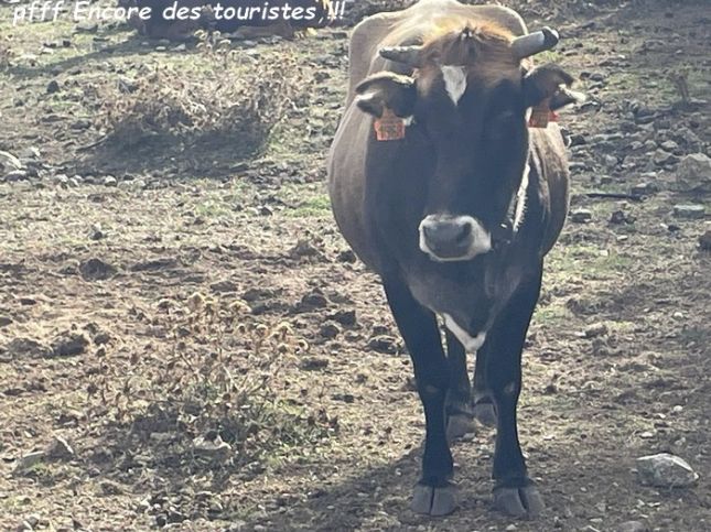 546681198_3021331411373214_4676282935484685655_n