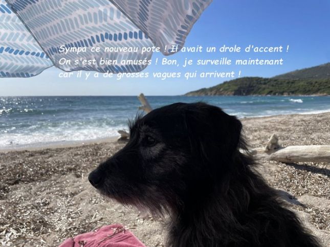 546944215_3021331478039874_4002197481563835620_nbb