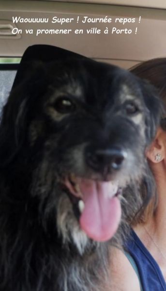 555512374_3037229243116764_404157186291977122_nbb