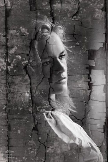 "CASSE-TOI"   Brigitisis