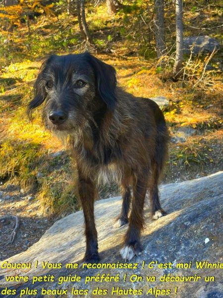 565109966_3058553884317633_6686058533031922817_nbb