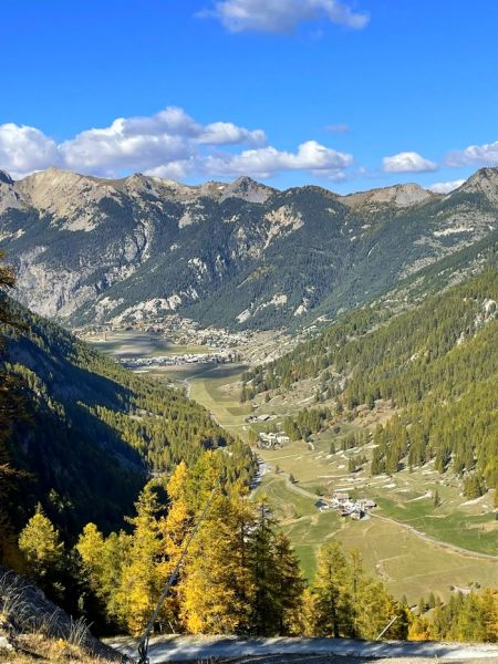 565121542_3058557324317289_1970613503509459304_nbb