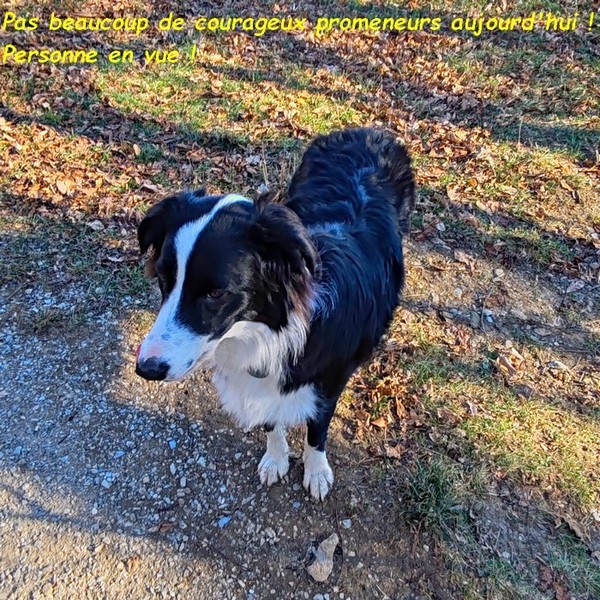 Premières gelées sur nos ruisseaux le 22 novembre 2025 03