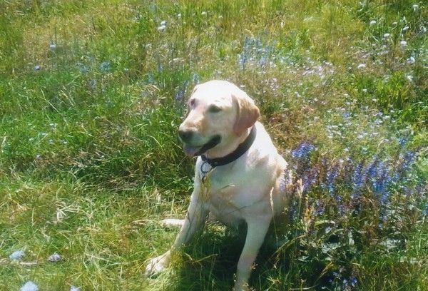 Des nouvelles de Vick