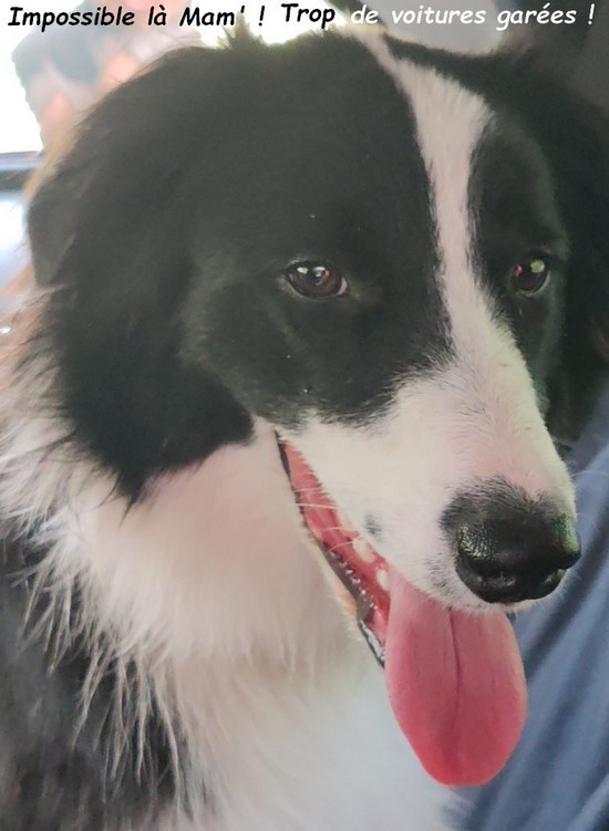 BALADE DU 28 OCTOBRE 2025  