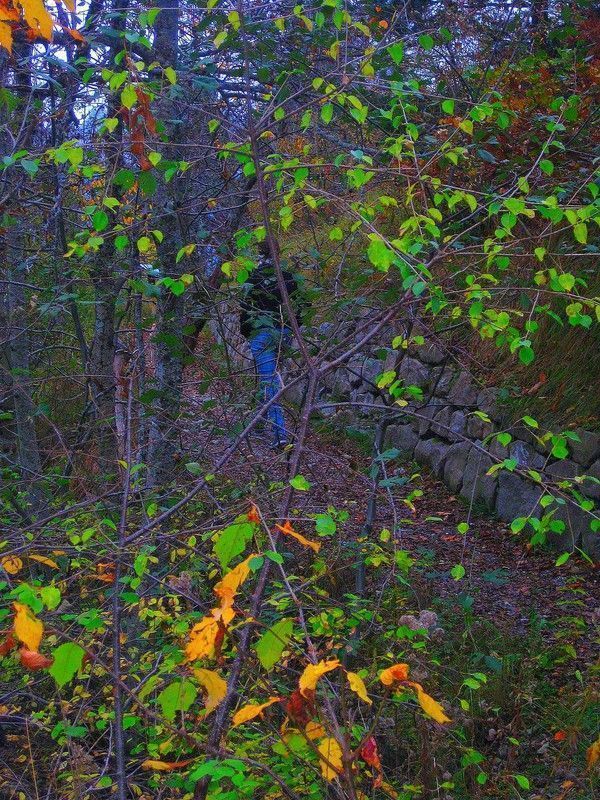 "Chanson d'automne"   Paul Verlaine