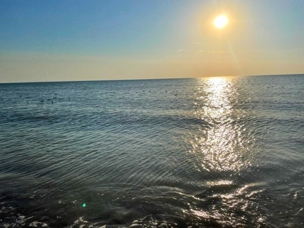 Petite promenade au bord de la mer normande