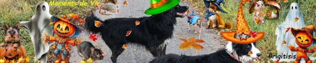 6843878318935438603BBBBbbb