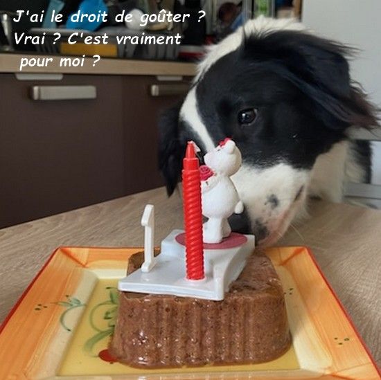 7374983910049839683bb