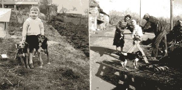 PETITE FILLE  Brigitisis