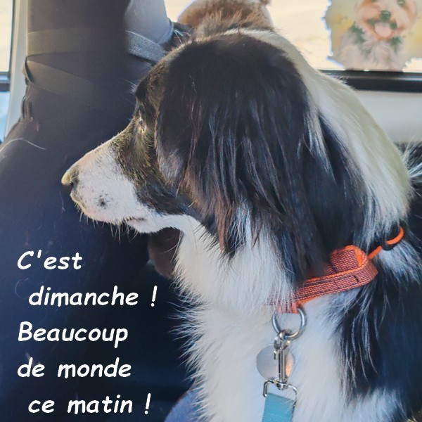 NOTRE BALADE AUTOMNALE DE CE MATIN  01