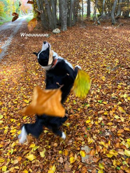 7f9cc825-1972-4d77-b953-191771c6a9adbb