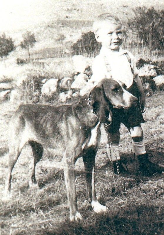 L'histoire vraie du petit garçon et du chien