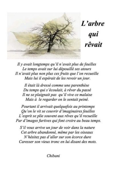 82550a9b62146a76d008a99531302001