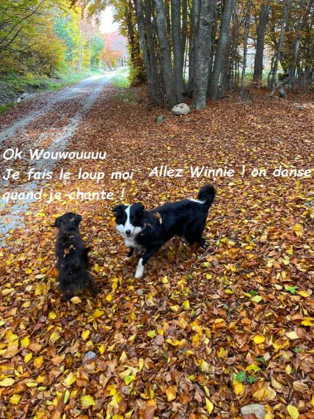 8a7ce15c-9024-4926-9ab9-497df8f52d8abb