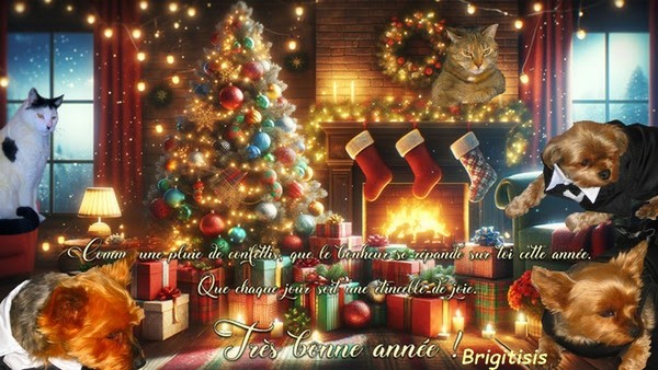 QUELQUES CREATIONS DE MEILLEURS VOEUX