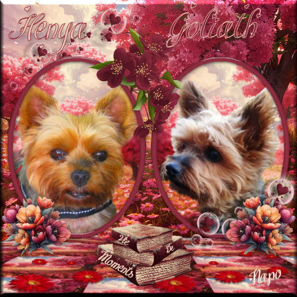 LETTRE D'UN CHIEN A SON MAÎTRE    RICARD BRUNO 