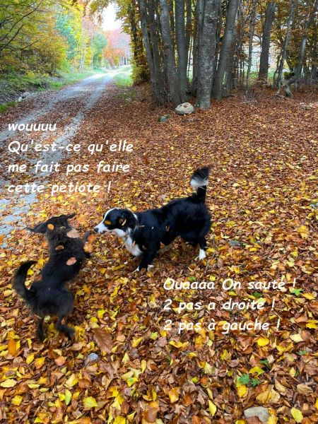 990ad477-209e-4871-9e23-c7ceac8fba2dbb