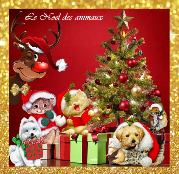 9veb3NpSOMomLBgASLdBtA6kNkk650x633