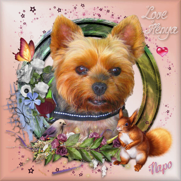 Creas_napo_animee_pour_Love_Henya