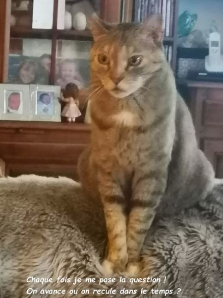 IMG_20230531_200359bb