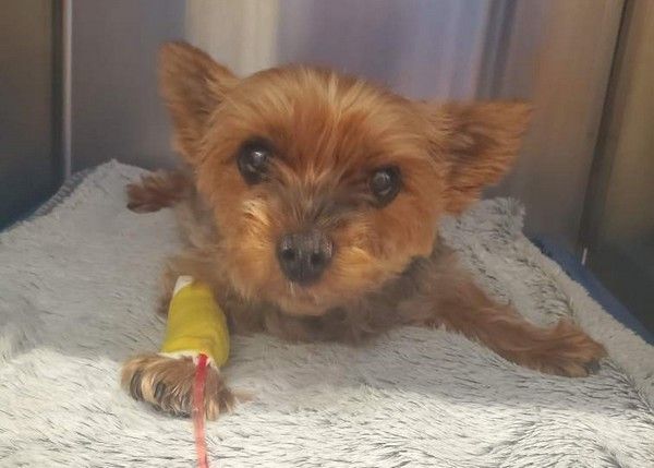 IMG_20240604_122112bb_1