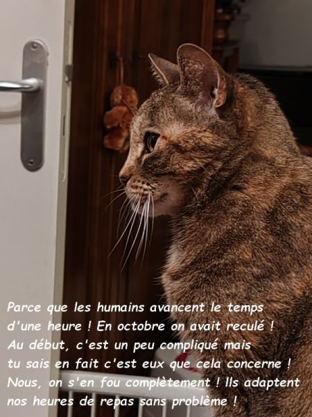 IMG_20250104_205953_12