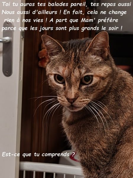 IMG_20250104_205956b