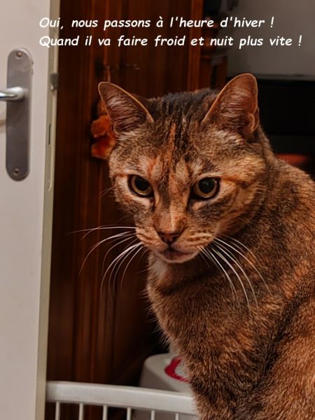 IMG_20250104_205956bb