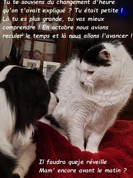 IMG_20250104_211321bb