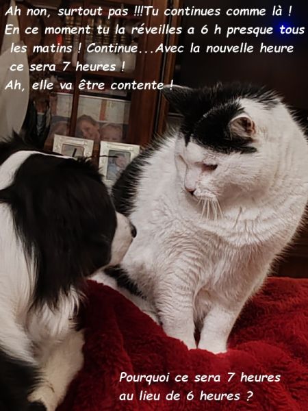 IMG_20250104_211321bbb