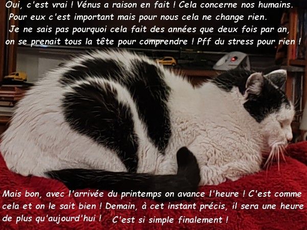 IMG_20250104_212110bbbb