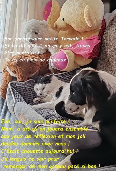 IMG_20250613_111745bb